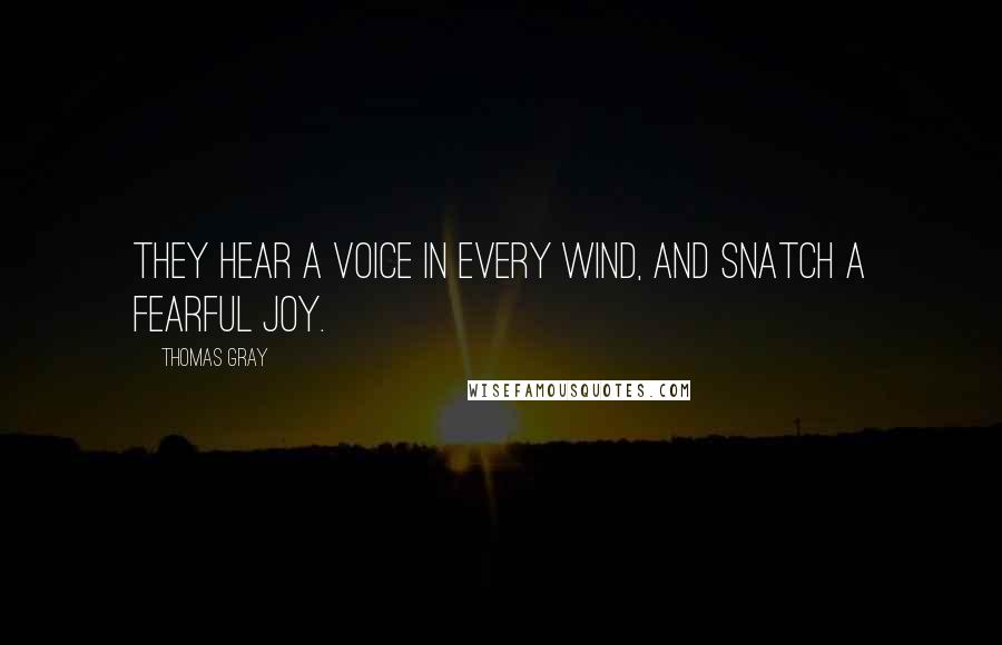 Thomas Gray Quotes: They hear a voice in every wind, And snatch a fearful joy.