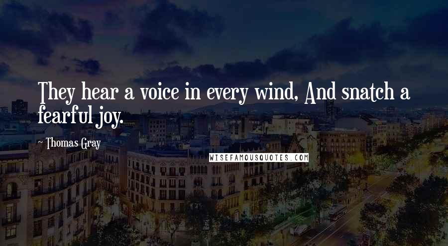 Thomas Gray Quotes: They hear a voice in every wind, And snatch a fearful joy.