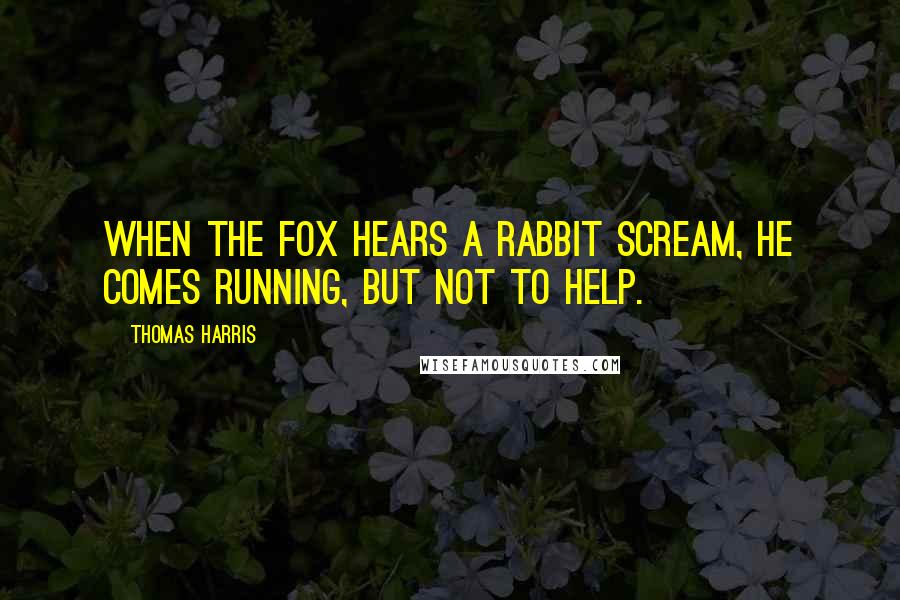 Thomas Harris Quotes: When the fox hears a rabbit scream, he comes running, but not to help.