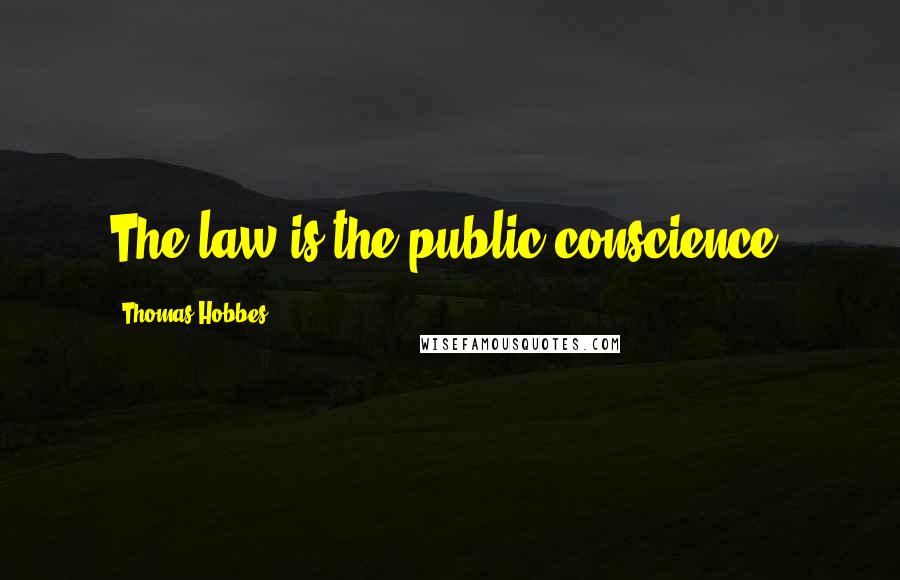 Thomas Hobbes Quotes: The law is the public conscience.