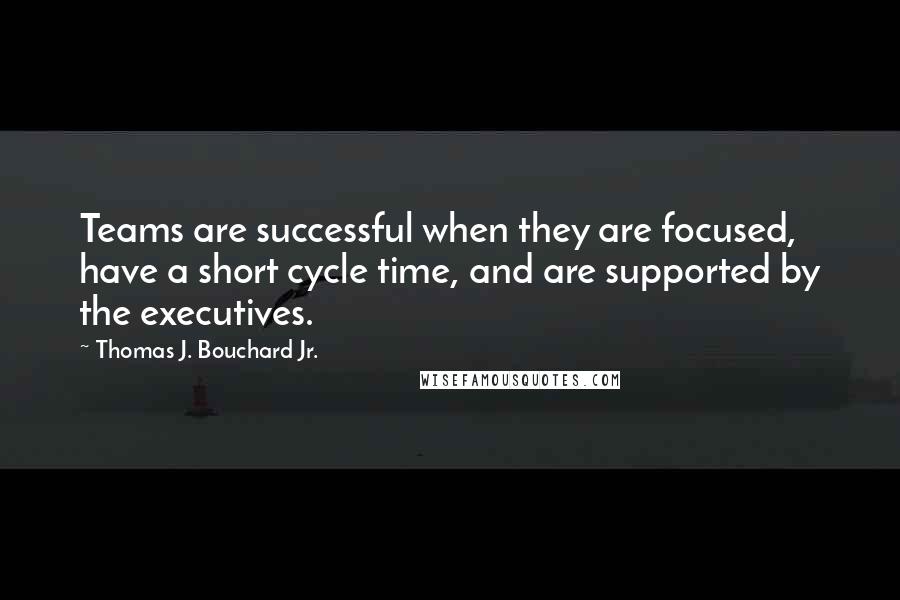 Thomas J. Bouchard Jr. Quotes: Teams are successful when they are focused, have a short cycle time, and are supported by the executives.