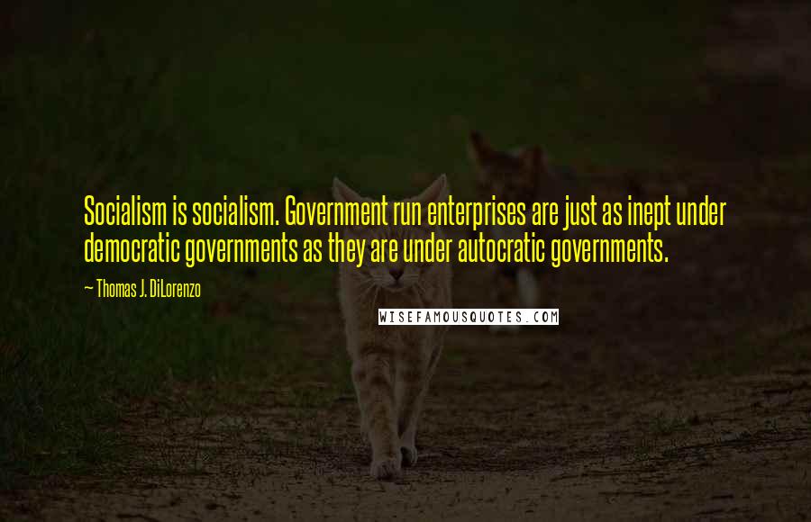 Thomas J. DiLorenzo Quotes: Socialism is socialism. Government run enterprises are just as inept under democratic governments as they are under autocratic governments.