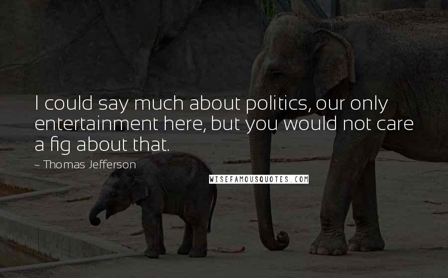 Thomas Jefferson Quotes: I could say much about politics, our only entertainment here, but you would not care a fig about that.