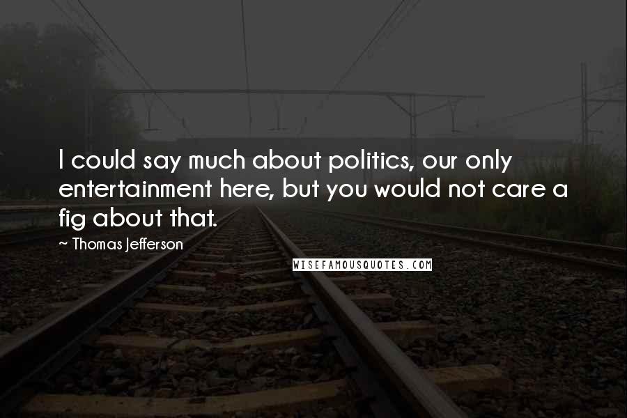 Thomas Jefferson Quotes: I could say much about politics, our only entertainment here, but you would not care a fig about that.