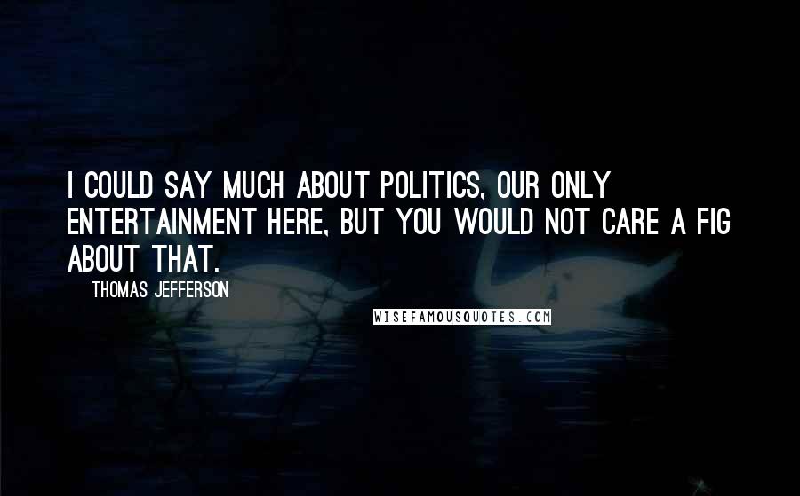 Thomas Jefferson Quotes: I could say much about politics, our only entertainment here, but you would not care a fig about that.