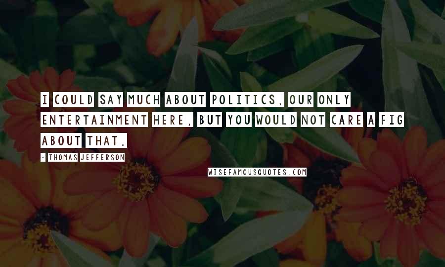 Thomas Jefferson Quotes: I could say much about politics, our only entertainment here, but you would not care a fig about that.