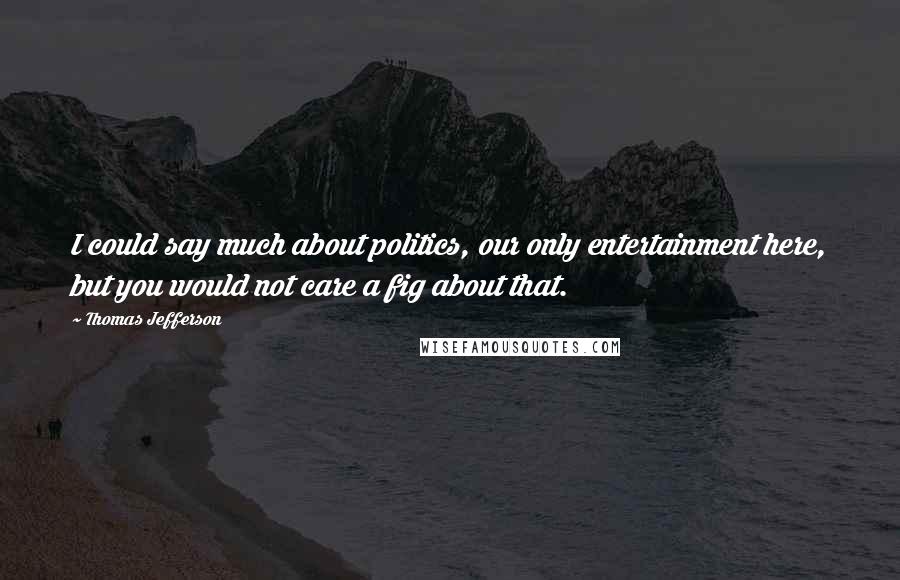 Thomas Jefferson Quotes: I could say much about politics, our only entertainment here, but you would not care a fig about that.