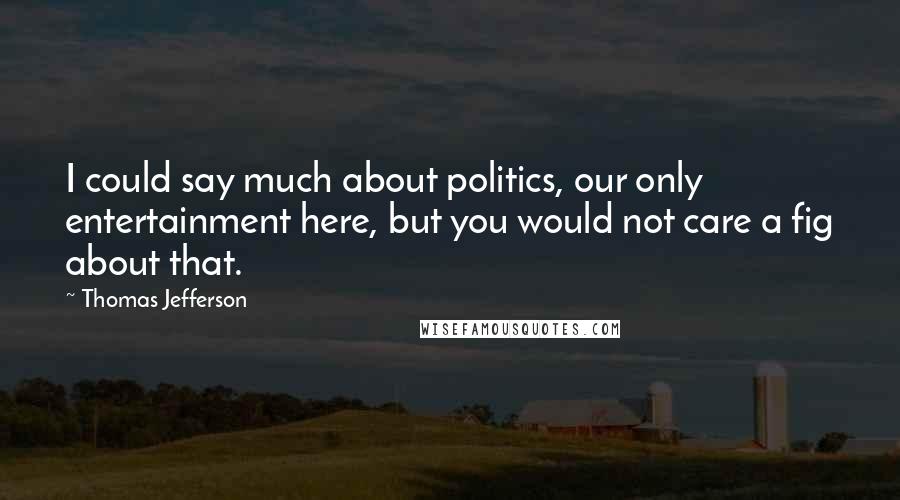 Thomas Jefferson Quotes: I could say much about politics, our only entertainment here, but you would not care a fig about that.
