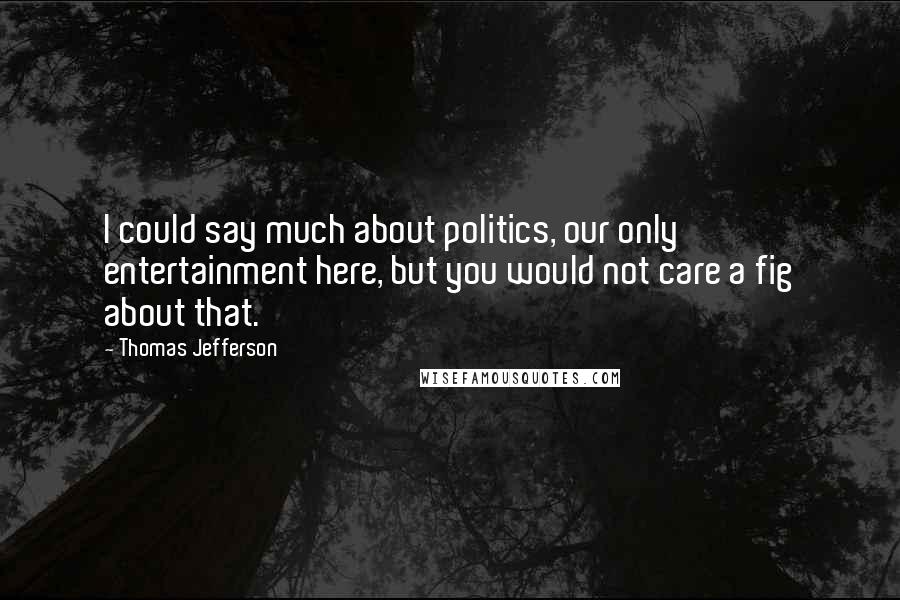 Thomas Jefferson Quotes: I could say much about politics, our only entertainment here, but you would not care a fig about that.