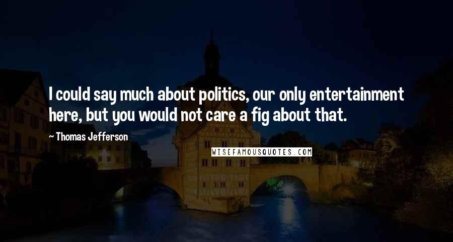 Thomas Jefferson Quotes: I could say much about politics, our only entertainment here, but you would not care a fig about that.