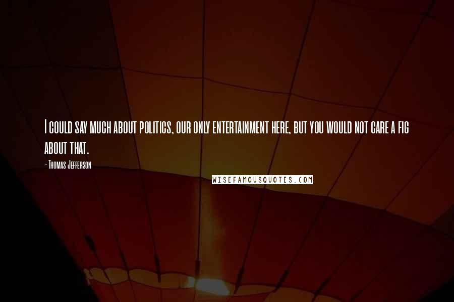 Thomas Jefferson Quotes: I could say much about politics, our only entertainment here, but you would not care a fig about that.