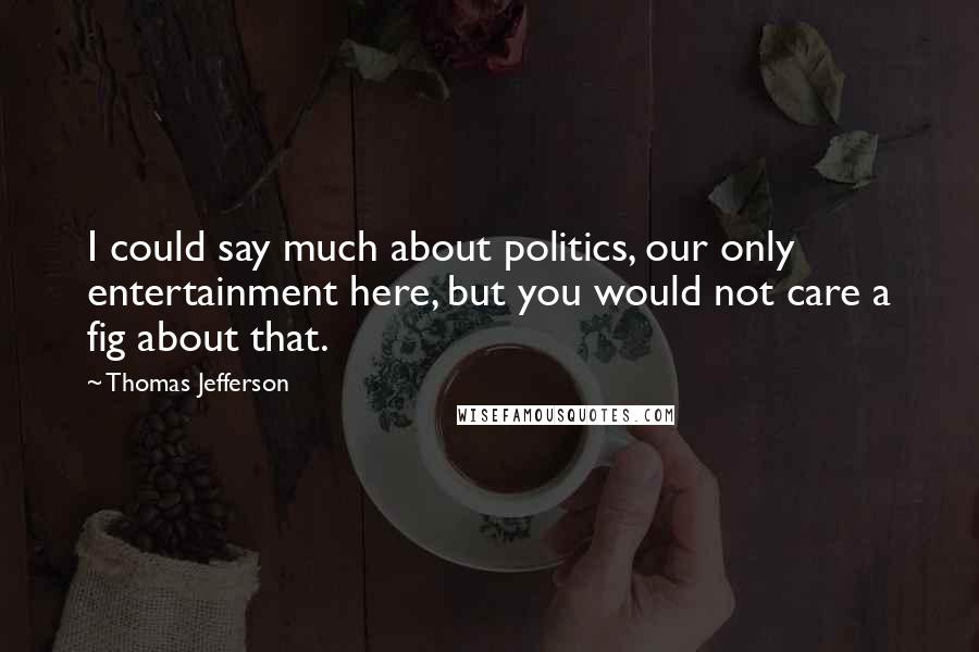 Thomas Jefferson Quotes: I could say much about politics, our only entertainment here, but you would not care a fig about that.