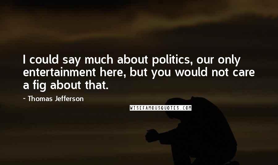 Thomas Jefferson Quotes: I could say much about politics, our only entertainment here, but you would not care a fig about that.