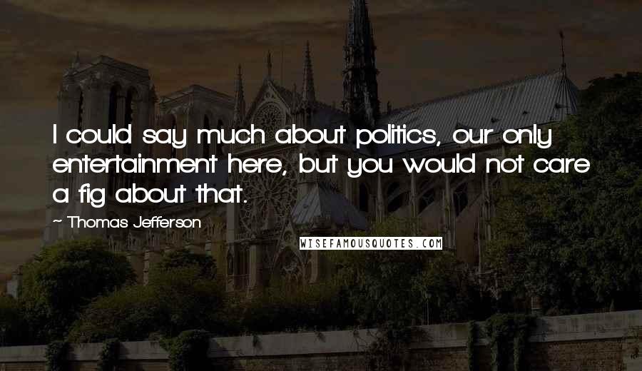 Thomas Jefferson Quotes: I could say much about politics, our only entertainment here, but you would not care a fig about that.