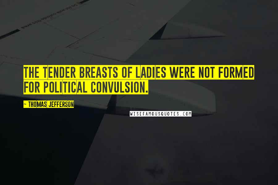 Thomas Jefferson Quotes: The tender breasts of ladies were not formed for political convulsion.