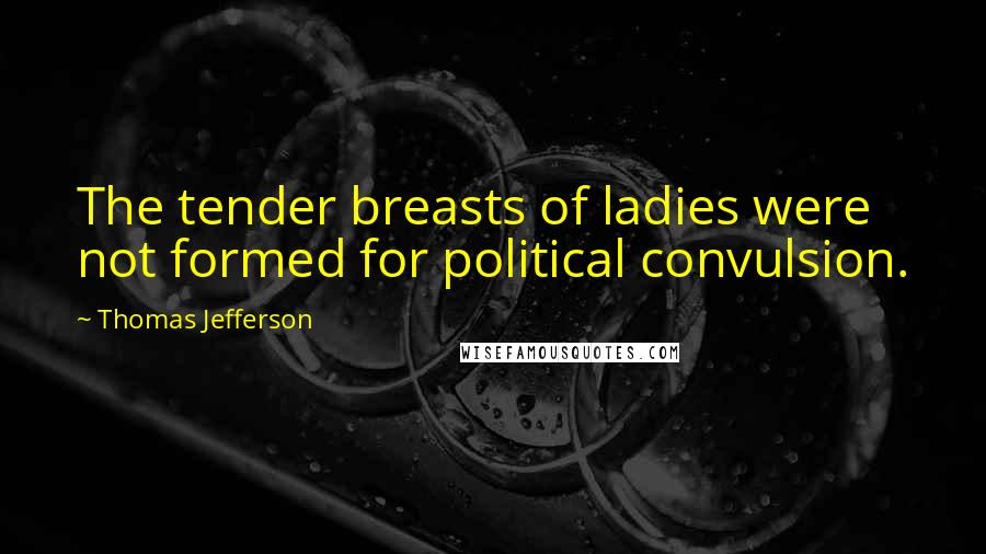 Thomas Jefferson Quotes: The tender breasts of ladies were not formed for political convulsion.