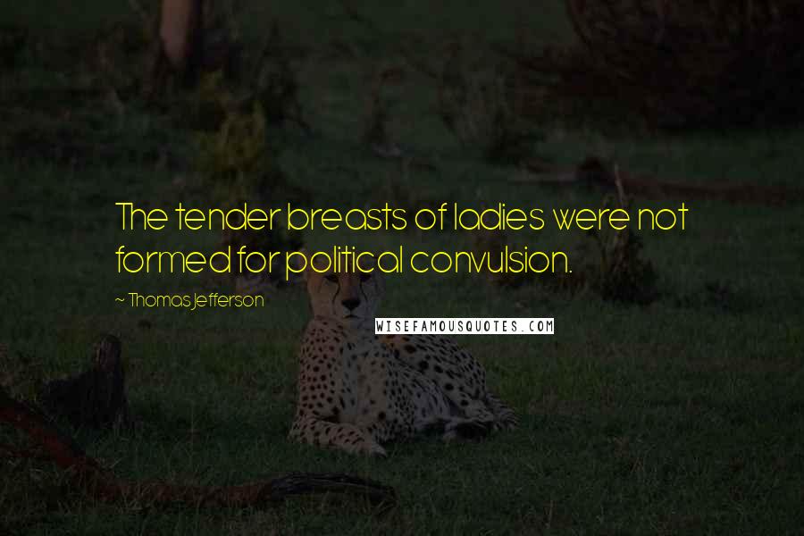 Thomas Jefferson Quotes: The tender breasts of ladies were not formed for political convulsion.