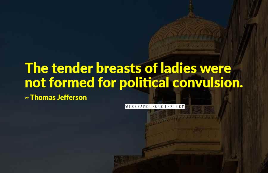 Thomas Jefferson Quotes: The tender breasts of ladies were not formed for political convulsion.