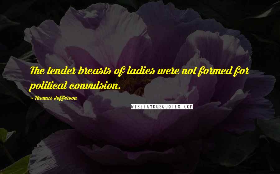 Thomas Jefferson Quotes: The tender breasts of ladies were not formed for political convulsion.