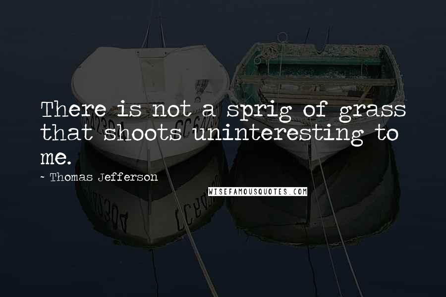 Thomas Jefferson Quotes: There is not a sprig of grass that shoots uninteresting to me.