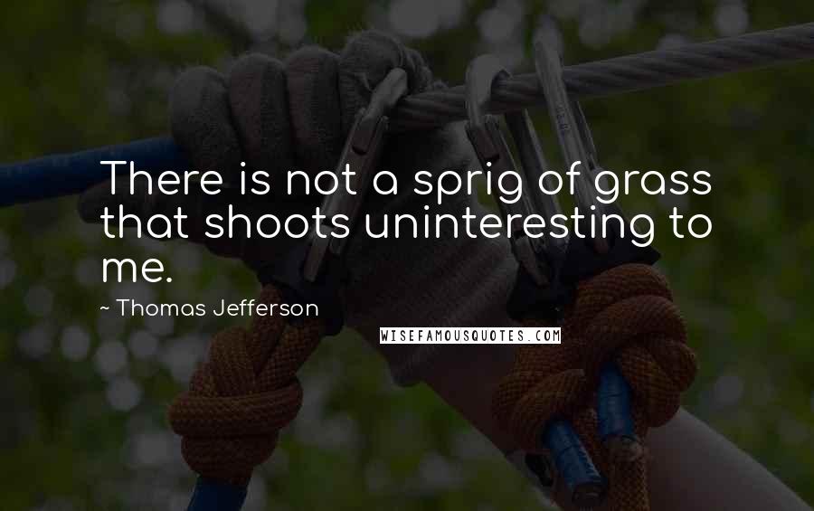 Thomas Jefferson Quotes: There is not a sprig of grass that shoots uninteresting to me.