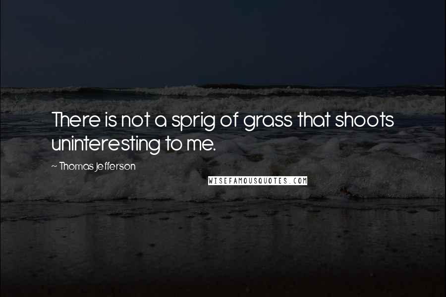 Thomas Jefferson Quotes: There is not a sprig of grass that shoots uninteresting to me.