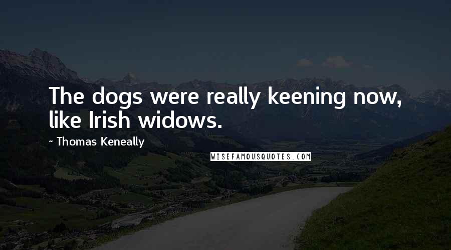 Thomas Keneally Quotes: The dogs were really keening now, like Irish widows.