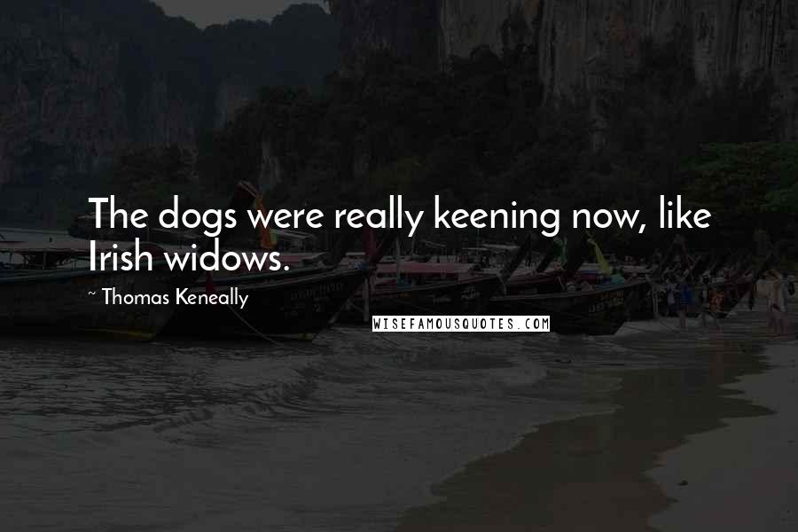 Thomas Keneally Quotes: The dogs were really keening now, like Irish widows.
