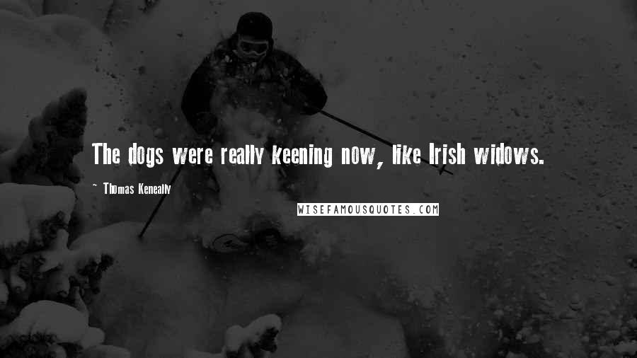 Thomas Keneally Quotes: The dogs were really keening now, like Irish widows.