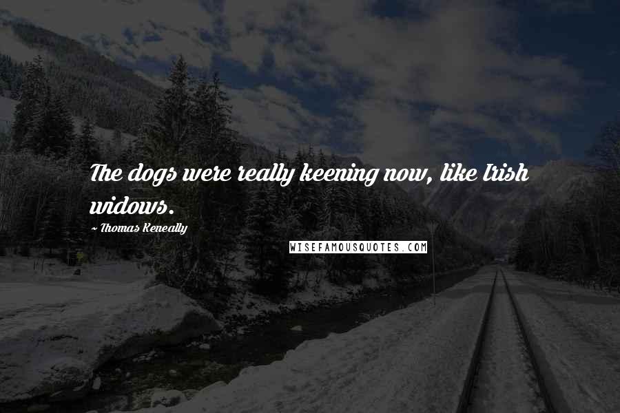 Thomas Keneally Quotes: The dogs were really keening now, like Irish widows.