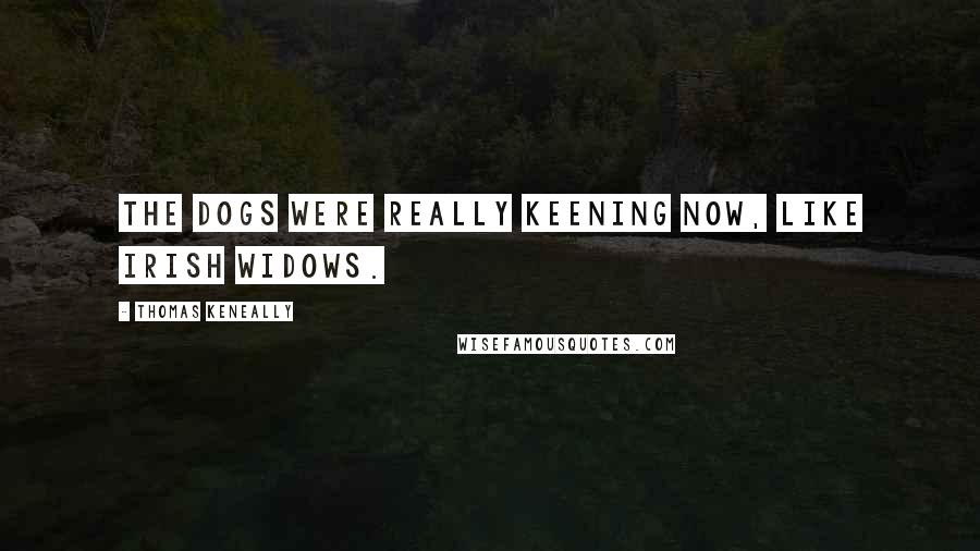 Thomas Keneally Quotes: The dogs were really keening now, like Irish widows.