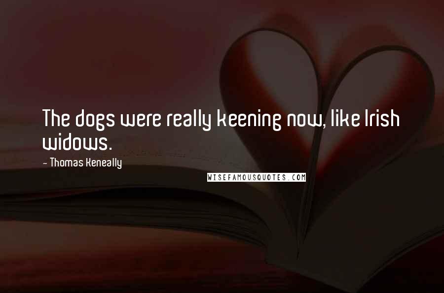 Thomas Keneally Quotes: The dogs were really keening now, like Irish widows.