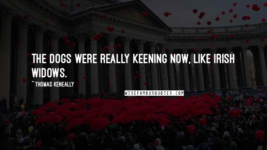 Thomas Keneally Quotes: The dogs were really keening now, like Irish widows.