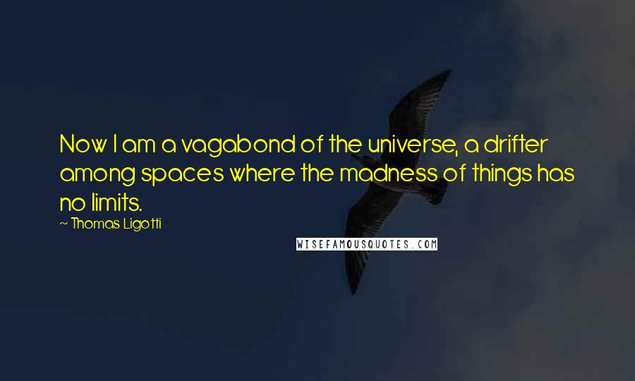 Thomas Ligotti Quotes: Now I am a vagabond of the universe, a drifter among spaces where the madness of things has no limits.