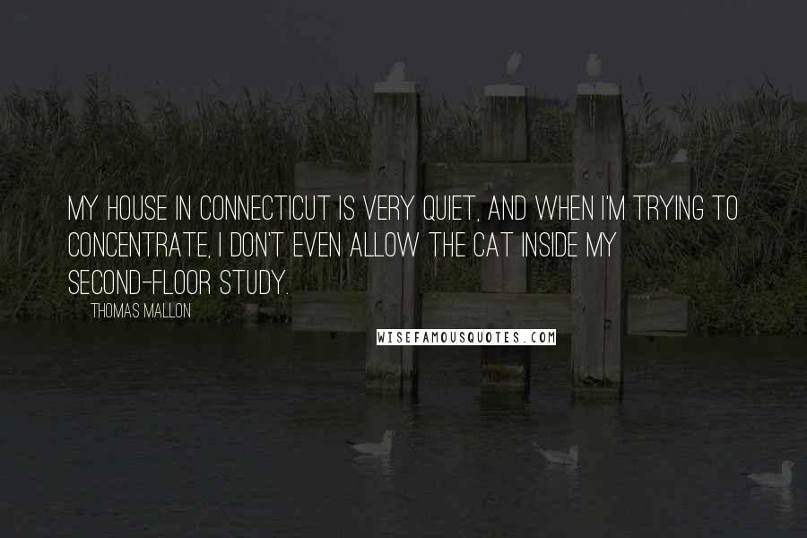 Thomas Mallon Quotes: My house in Connecticut is very quiet, and when I'm trying to concentrate, I don't even allow the cat inside my second-floor study.