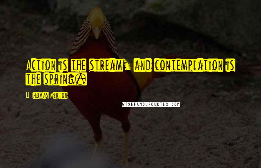 Thomas Merton Quotes: Action is the stream, and contemplation is the spring.