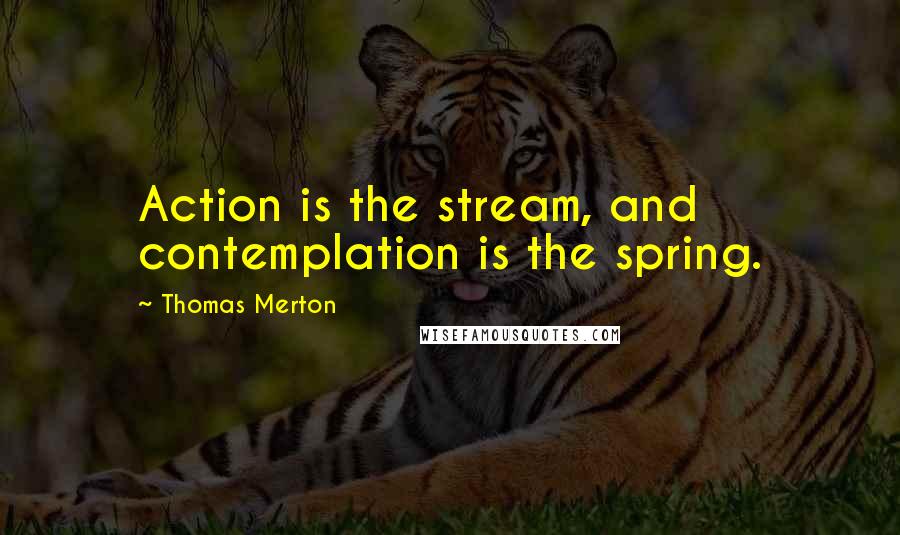 Thomas Merton Quotes: Action is the stream, and contemplation is the spring.