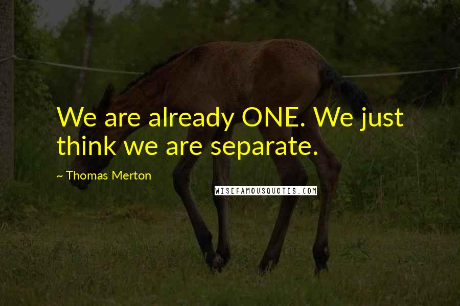 Thomas Merton Quotes: We are already ONE. We just think we are separate.