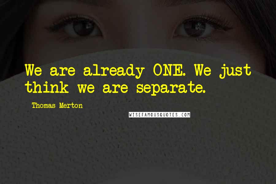 Thomas Merton Quotes: We are already ONE. We just think we are separate.