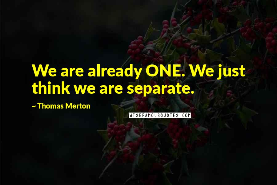 Thomas Merton Quotes: We are already ONE. We just think we are separate.