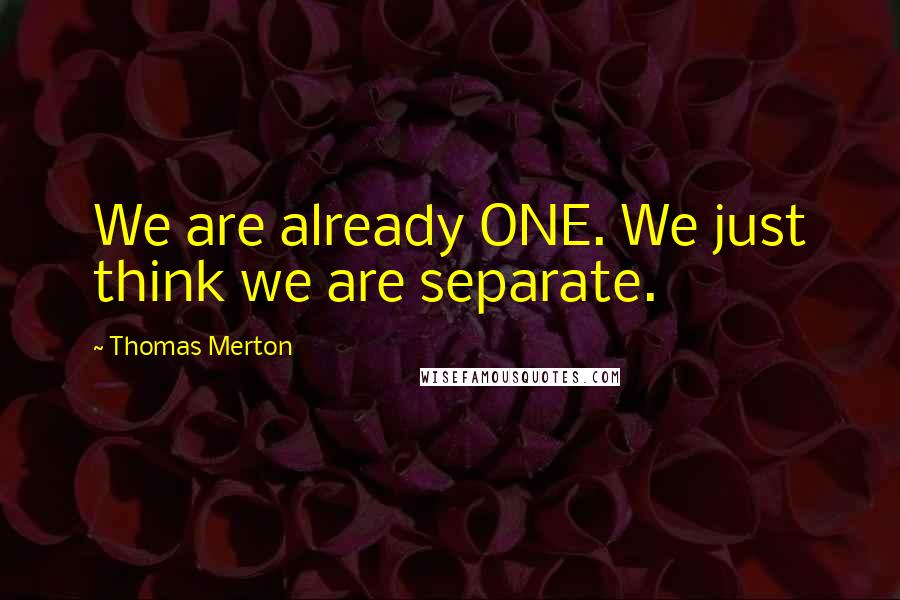 Thomas Merton Quotes: We are already ONE. We just think we are separate.