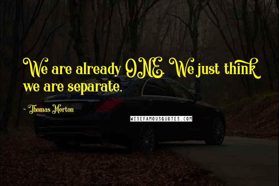 Thomas Merton Quotes: We are already ONE. We just think we are separate.