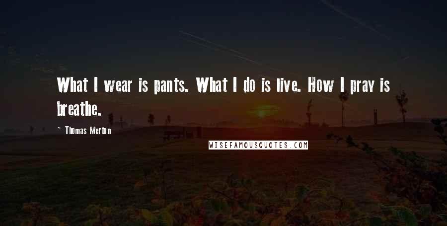 Thomas Merton Quotes: What I wear is pants. What I do is live. How I pray is breathe.