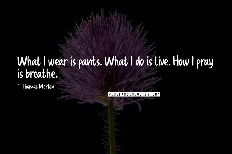 Thomas Merton Quotes: What I wear is pants. What I do is live. How I pray is breathe.