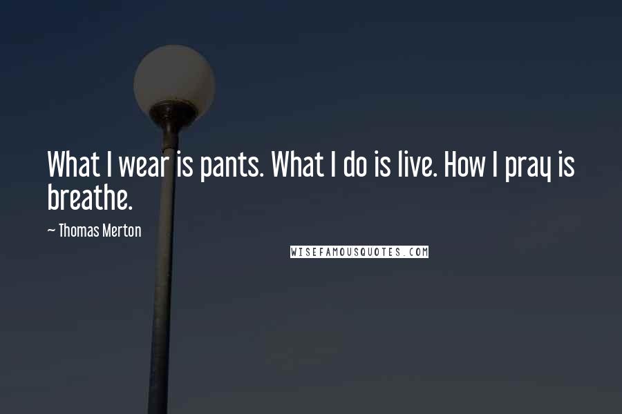 Thomas Merton Quotes: What I wear is pants. What I do is live. How I pray is breathe.