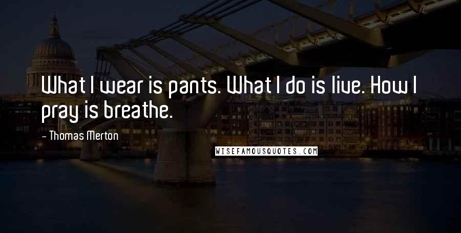 Thomas Merton Quotes: What I wear is pants. What I do is live. How I pray is breathe.