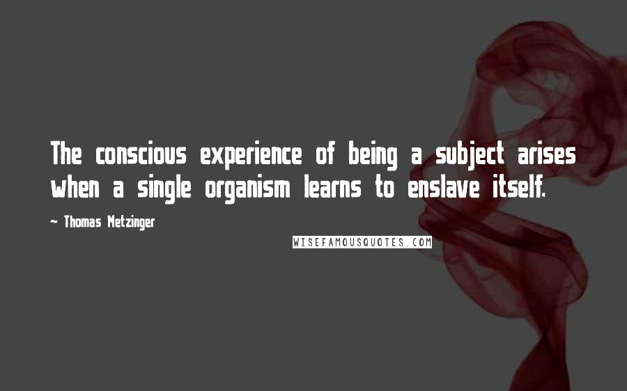 Thomas Metzinger Quotes: The conscious experience of being a subject arises when a single organism learns to enslave itself.