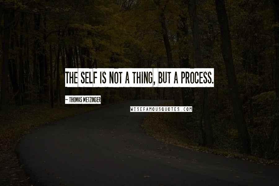 Thomas Metzinger Quotes: The self is not a thing, but a process.