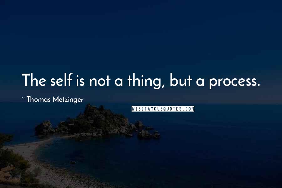 Thomas Metzinger Quotes: The self is not a thing, but a process.