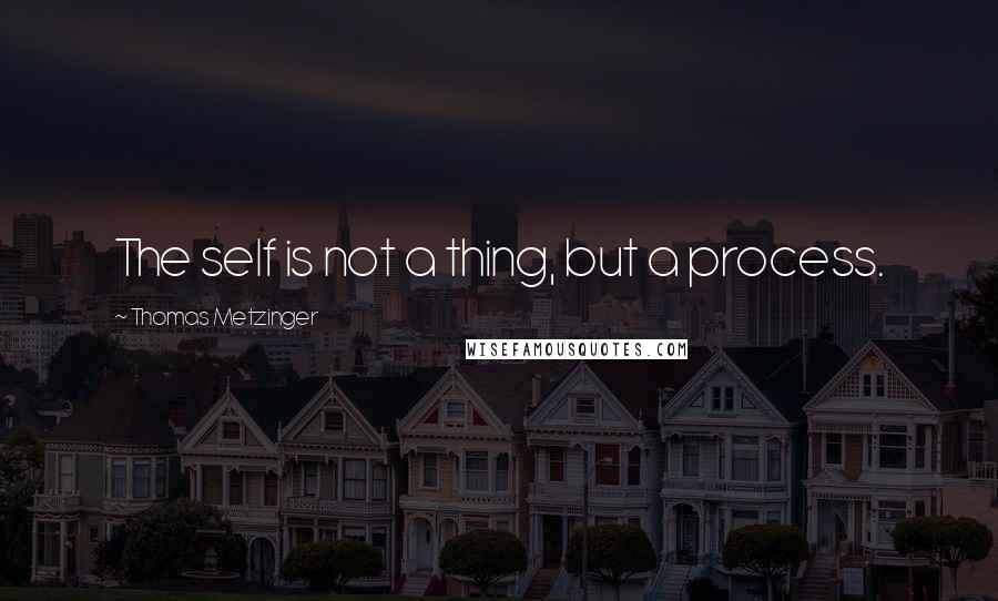 Thomas Metzinger Quotes: The self is not a thing, but a process.